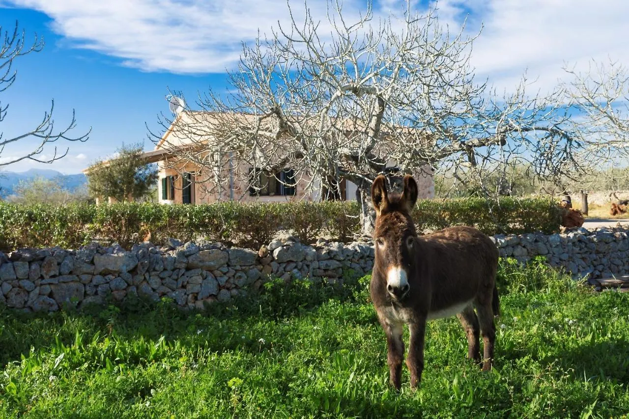 155 Finca Son Rossignol By Mallorca Charme シネウ 別荘